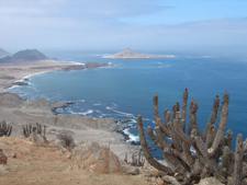 Pan de Azucar National Park Antofagasta, Chile