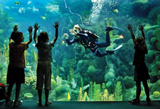 Florida Aquarium Tampa, Florida