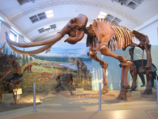 Utah Museum of Natural History Salt Lake City, Utah