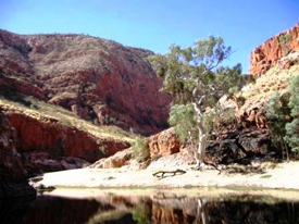 Alice Springs Cultural Precinct Alice Springs, Australia