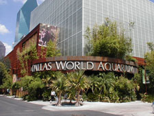 Dallas World Aquarium Dallas, Texas