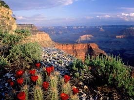 Grand Canyon National Park, Arizona