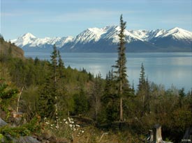 Turnagain Trails Anchorage, Alaska