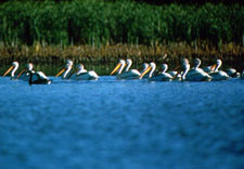 Pelican Lake Recreation Area, South Dakota