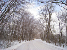 Madison Arboretum Madison, Wisconsin