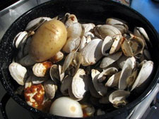 Wellfleet Baked Clams Arnold's Lobster and Clam Bar Eastham, Massachusetts