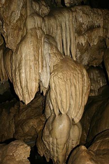 banana grove cave Oregon Cave National Monument Oregon