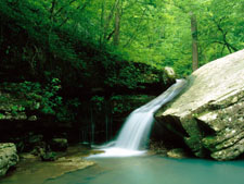 Buffalo National River Arkansas