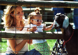 Deanna Rose Children's Farmstead