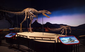 Discovery Center Museum Rockford, Illinois