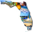 Florida Excitement