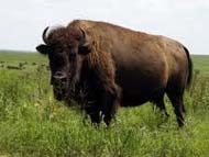 Frontier Texas in Abilene, Texas