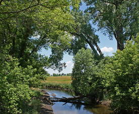 Glacial Drumlin State Park Waukesha, Wisconsin