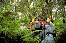 Hawaii Forest and Trail Kailua-Kona Hawaii