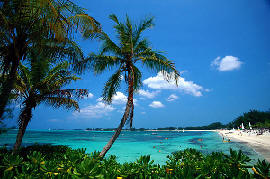Beaches in the Bahamas