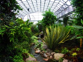 Duthie Park Winter Gardens