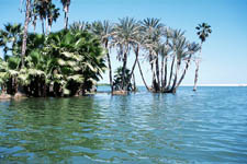 San Jose del Cabo Estuary Mexico