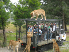 Orano Wildlife Park Christchurch, New Zealand