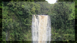 Akaka Falls State Park