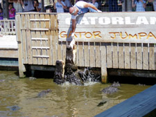 Gatorland Orlando, Florida
