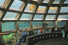 Seattle Aquarium Seattle, Washington