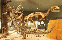 Delaware Museum of Natural History Brookside, Delaware