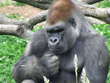 Granby Zoo Quebec, Canada