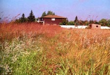 The Living Prairie Museum Winnipeg, Manitoba, Canada