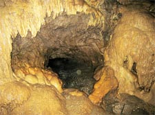 Rat's Nest Cave at Canmore Caverns Alberta, Canada